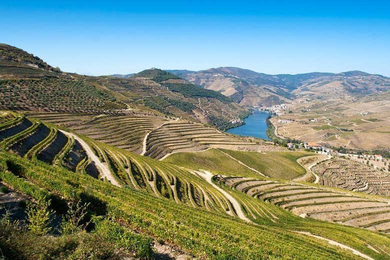 The Douro Valley