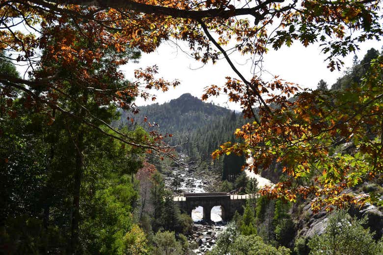 Peneda-Gerês National Park