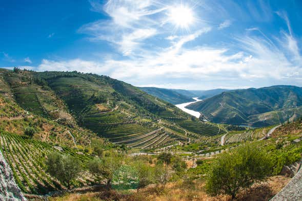 Douro Region Full-Day Trip